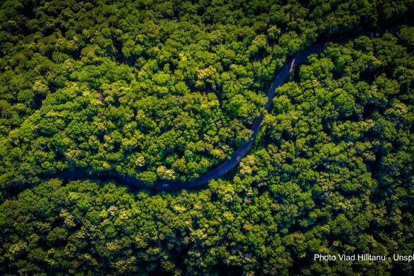 Diminuisce la deforestazione in Amazzonia: nel 2026 al minimo storico