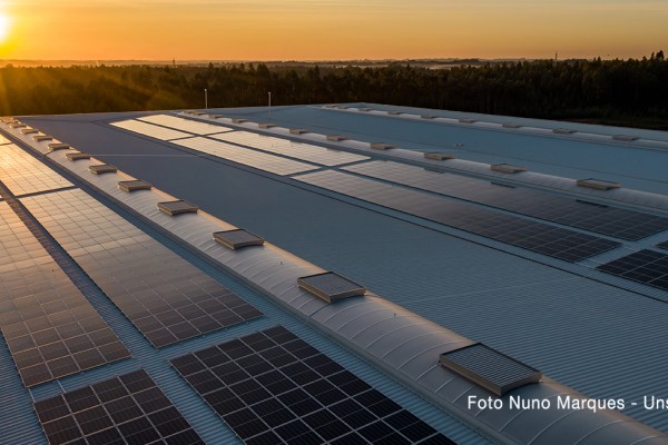 Il 20 aprile sarà la Giornata della Transizione energetica